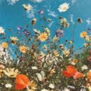 Meet your Posher, Bay